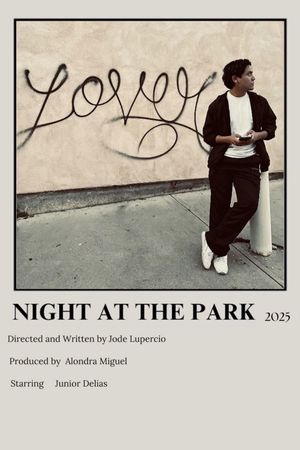 Night at the Park's poster