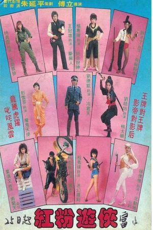 Pink Force Commando's poster