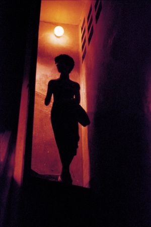 In the Mood for Love's poster