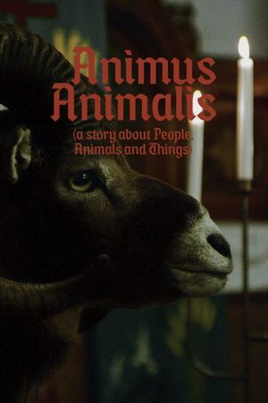 Animus Animalis (a story about People, Animals and Things)'s poster