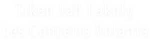 Tiken Jah Fakoly - Les Concerts Volants's poster