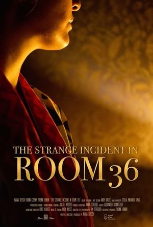 The Strange Incident In Room 36's poster