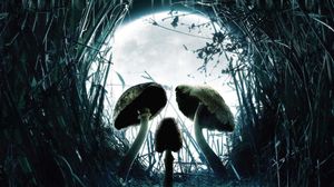 Shrooms's poster
