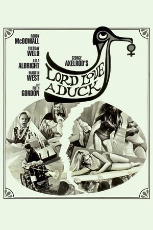 Lord Love a Duck's poster