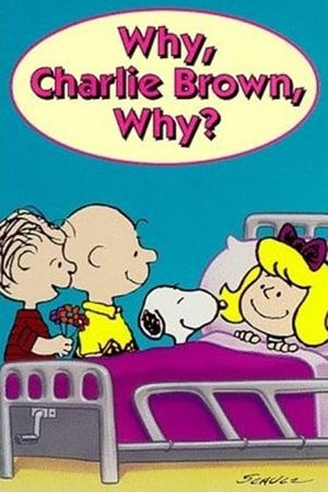 Why, Charlie Brown, Why?'s poster