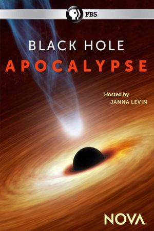 Black Hole Apocalypse's poster