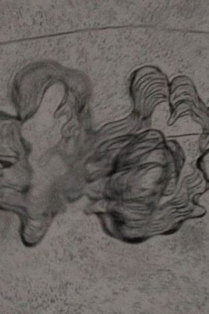 In a Mere Metamorphosis's poster