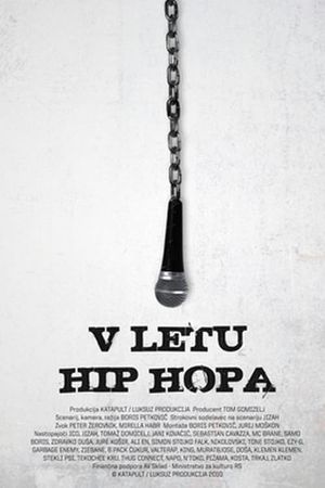 In the Year of Hip Hop's poster