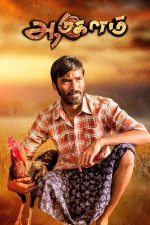Aadukalam's poster