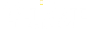 Ultimate Tutankhamun's poster