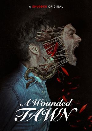 A Wounded Fawn's poster