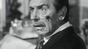 The Secret of the Black Widow's poster