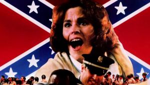 Heart of Dixie's poster