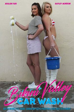 Bikini Valley Car Wash's poster