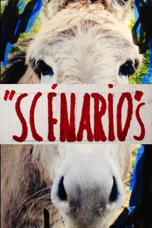 Scénarios's poster