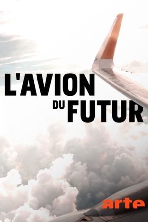 L'avion du futur's poster