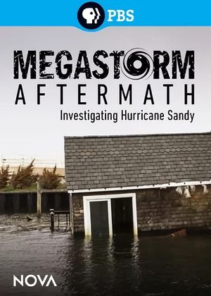 Megastorm Aftermath's poster