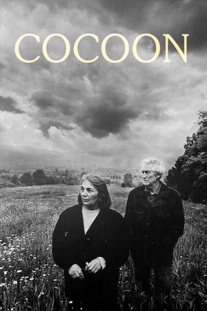 Cocoon's poster