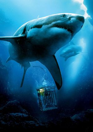 47 Meters Down's poster