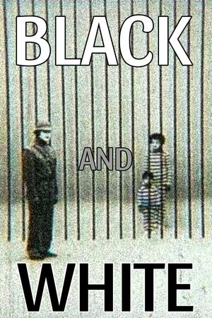 Black and White's poster