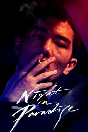 Night in Paradise's poster