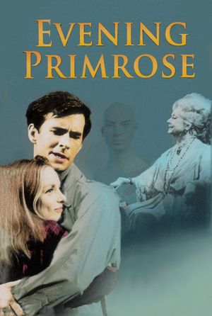 Evening Primrose's poster