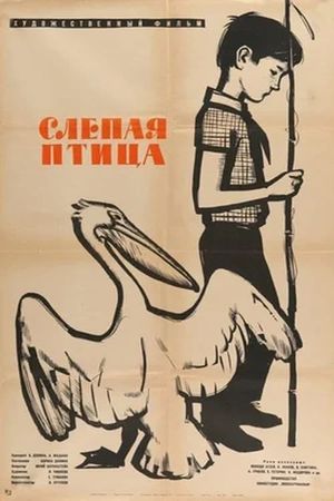 The Blind Bird's poster