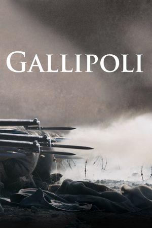 Gallipoli's poster