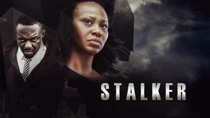 Stalker's poster