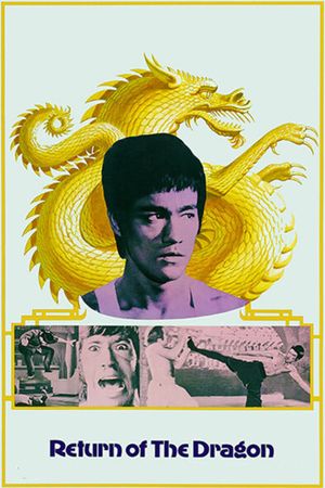 The Way of the Dragon's poster