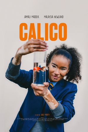 CALICO's poster