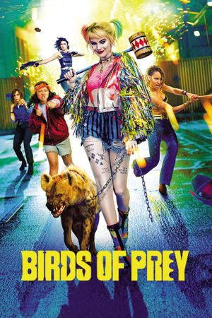 Birds of Prey's poster