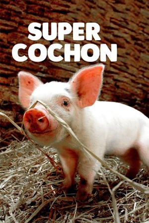 Super cochon's poster