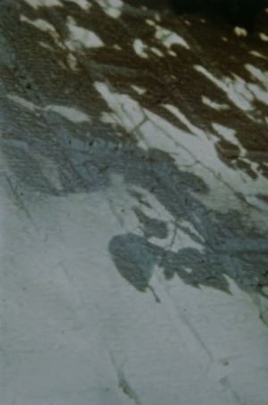 Anticipation of the Night's poster