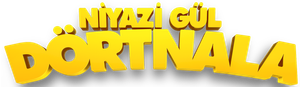 Niyazi Gül: Dörtnala's poster