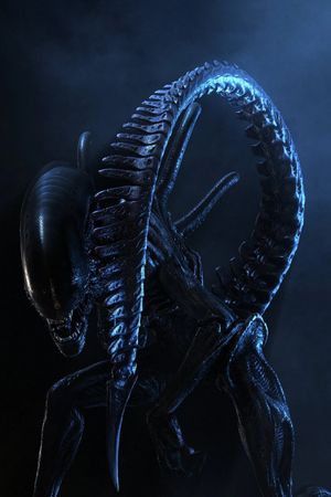 Alien vs. Predator's poster