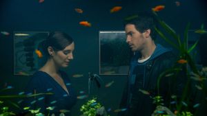The Life of Fish's poster