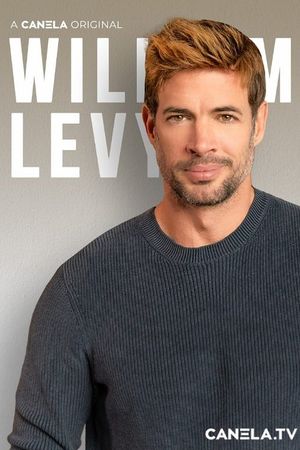 Mi Vida's poster
