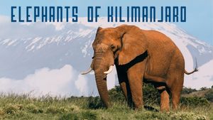 Elephants of Kilimanjaro's poster