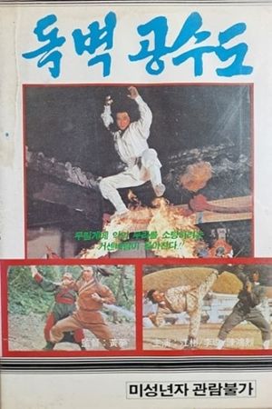 Du bi kong shou dao's poster