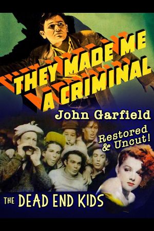 They Made Me a Criminal's poster