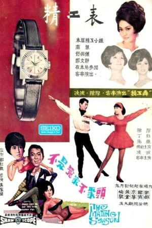 Bu shi yuan jia bu ju tou's poster