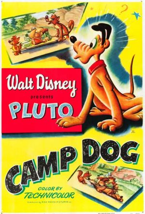 Camp Dog's poster