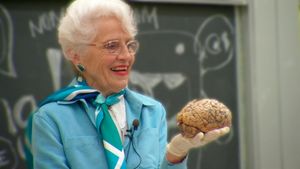 My Love Affair with the Brain's poster