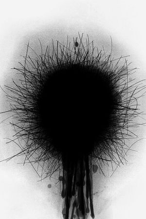 Dandelion's poster