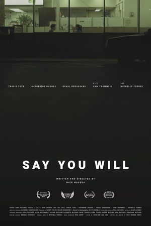Say You Will's poster