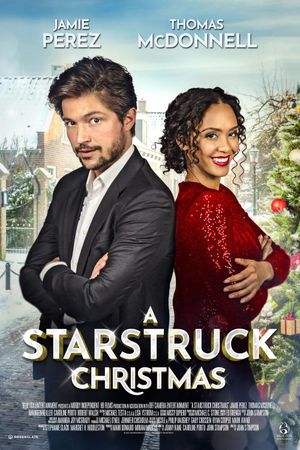 A Playful Romance's poster