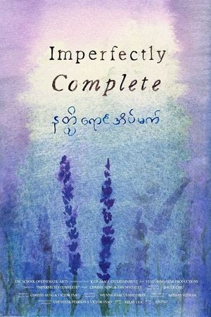 Imperfectly Complete's poster