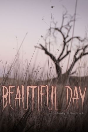 Beautiful Day's poster