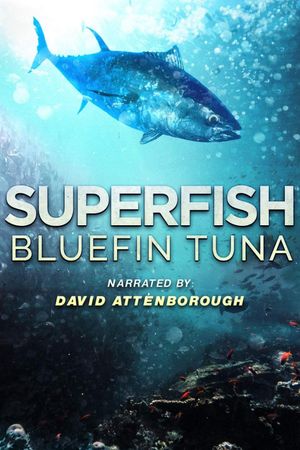 Superfish: Bluefin Tuna's poster